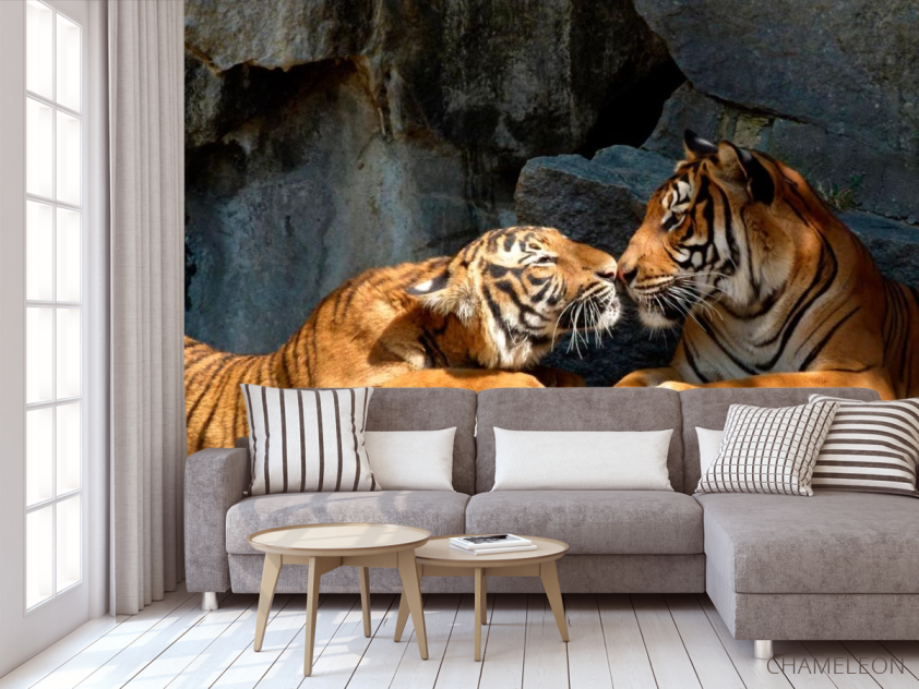 Фотообои Нежность тигров - 3
