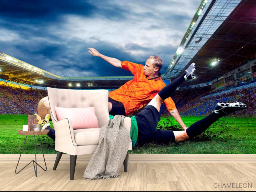 Фотообои Футбольная игра - 4