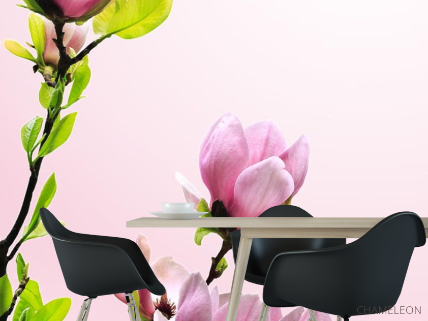 Фотошпалери гілка з рожевими квіточками - 1