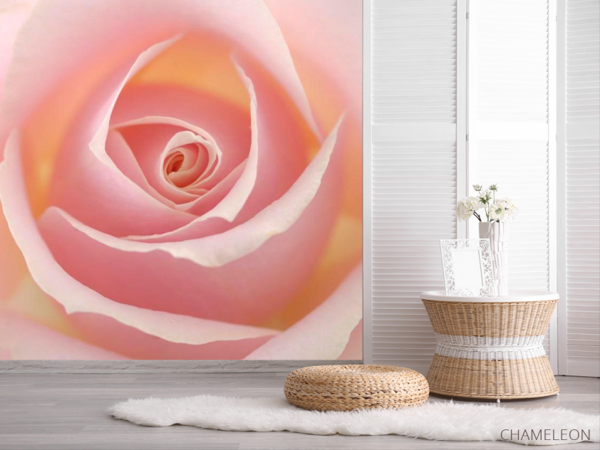 Фотошпалери Розочка кремова - 2