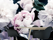 Фотошпалери півонії на темному - 1