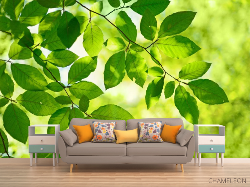 Фотообои зеленые листья на дереве - 1