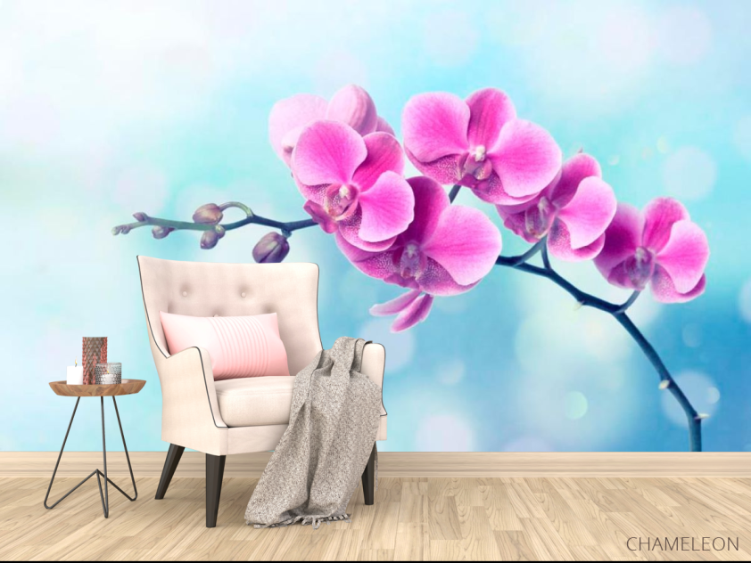 Фотообои Малиновое цветущее дерево - 4