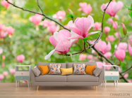 Фотообои Розовый имбирь - 1