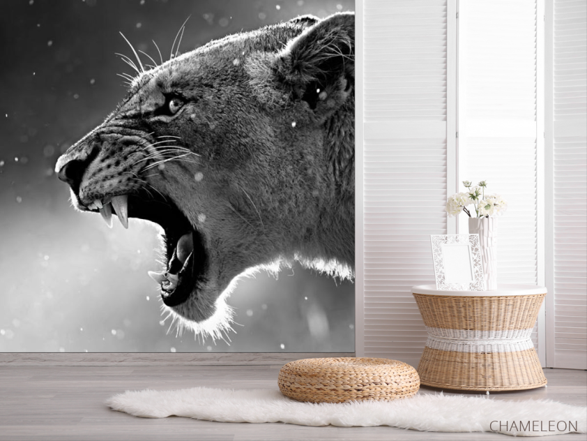 Фотошпалери дика кішка - 2