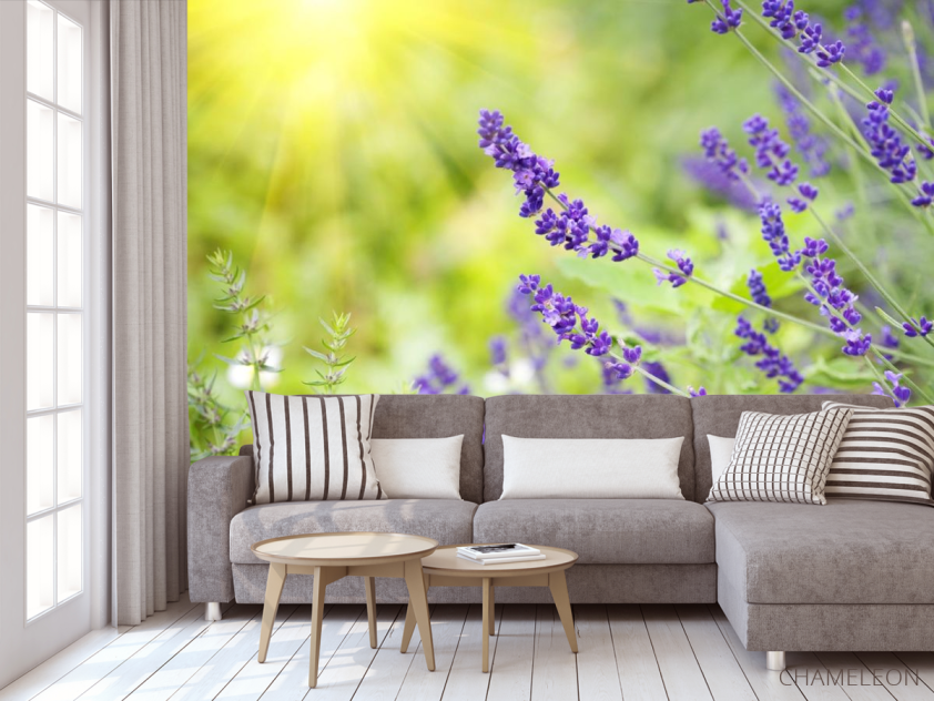 Фотообои синие полевые цветы - 3