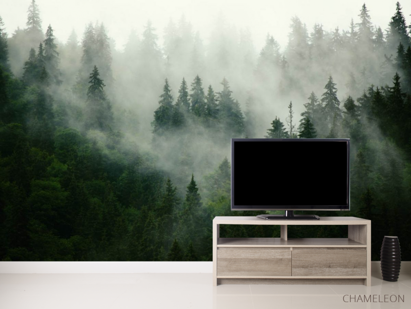 Фотообои Туманный лес - 2