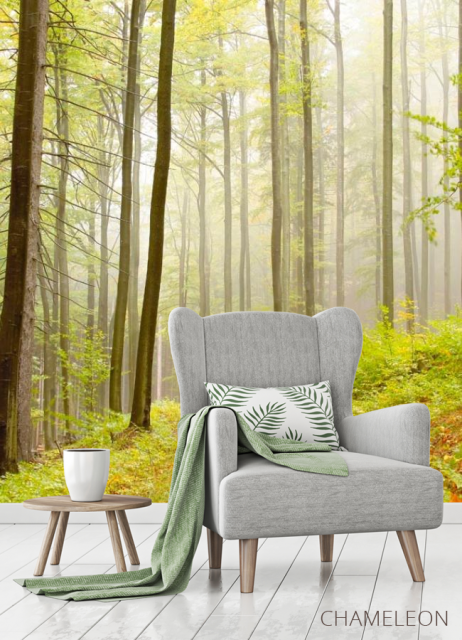 Фотообои Кусочек леса - 3