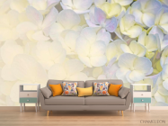 Фотообои Цветы - 1