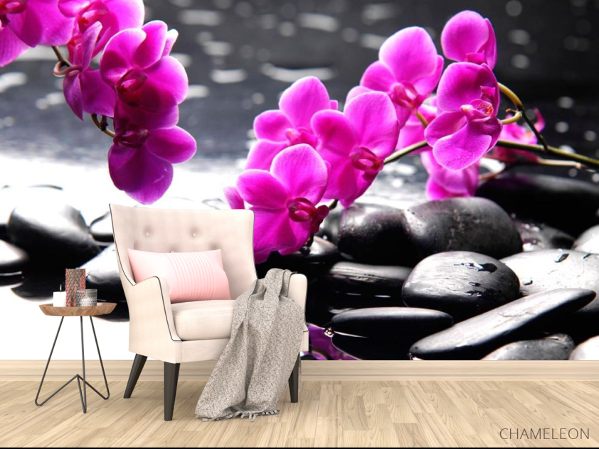 Фотообои Розовые цветы и камни - 4