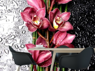 Фотошпалери Бордові орхідеї - 1