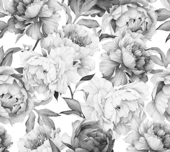 Фотошпалери чорно-білі півонії Фотошпалери чорно-білі півонії 20944