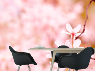 Фотошпалери Тонколиста квіти - 1