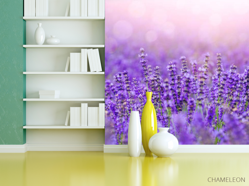 Фотошпалери Лавандове поле - 3