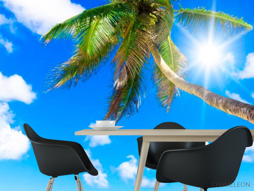 Фотошпалери Опівдні, море, пальми - 1