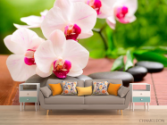 Фотообои Орхидеи бело-малиновые - 1