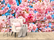 Фотообои Цветение розового дерева - 4