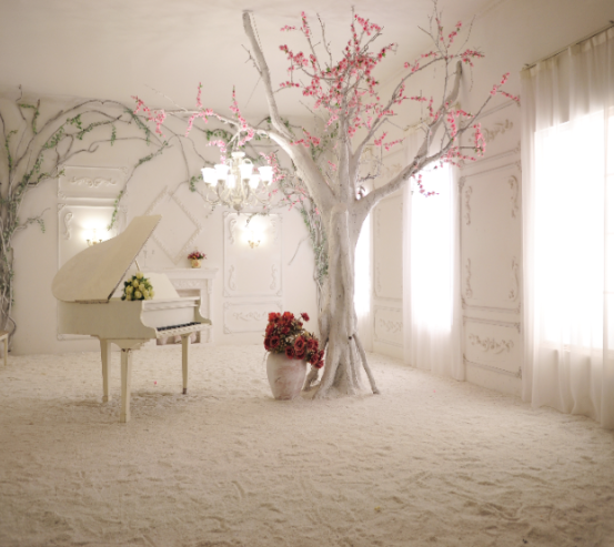 3д фотообои Рояль 18687