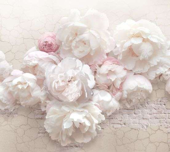 Фотошпалери Фреска з видом на набережну 23940