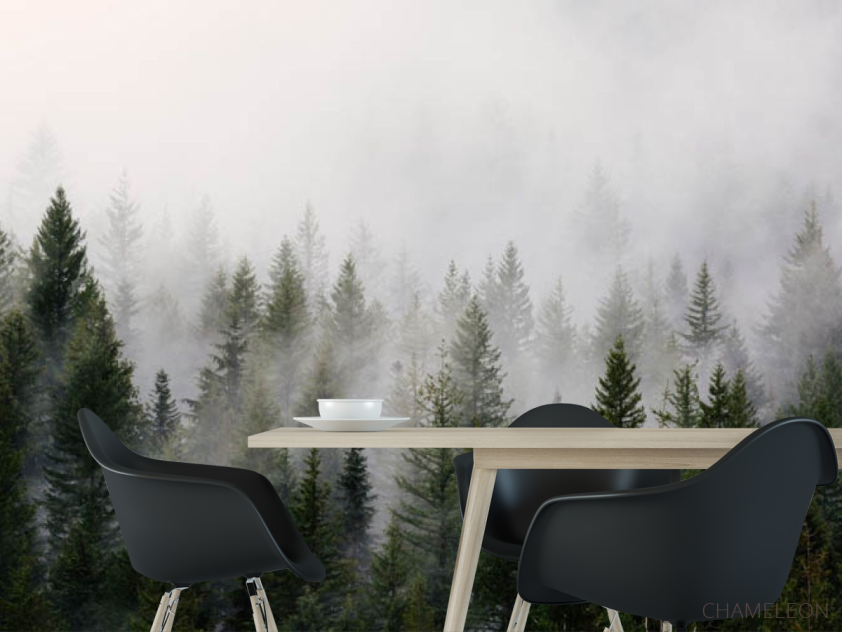 Фотошпалери ліс в тумані - 1