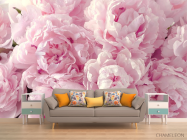 Фотообои пушистые розовые пионы - 1