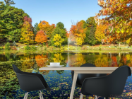 Фотошпалери осінь дерева і фонтан над озером - 1