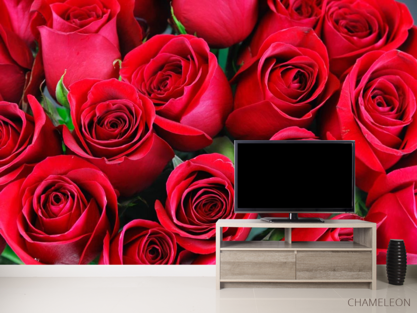 Фотообои красные розы - 2