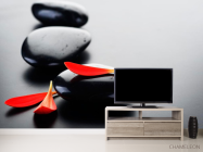 Фотообои Лепестки и камни - 2