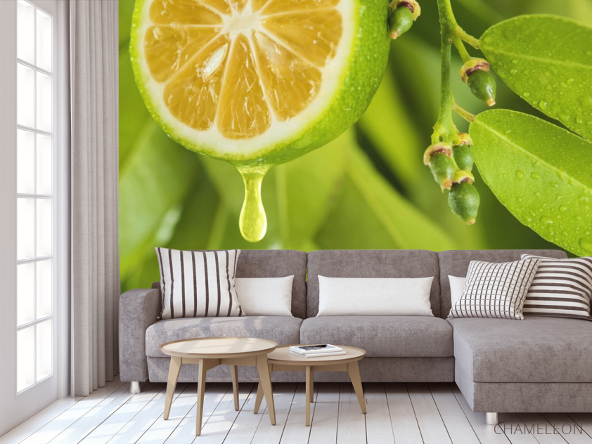 Фотообои Яркий лимон - 3
