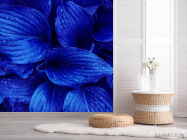 Фотошпалери сині листя - 2