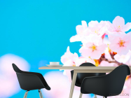 Фотошпалери Білі квіти в небі - 1