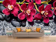 Фотообои Цветы на камнях - 1