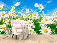 Фотообои Ромашки в степи - 4