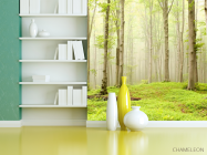 Фотошпалери Голі дерева - 3