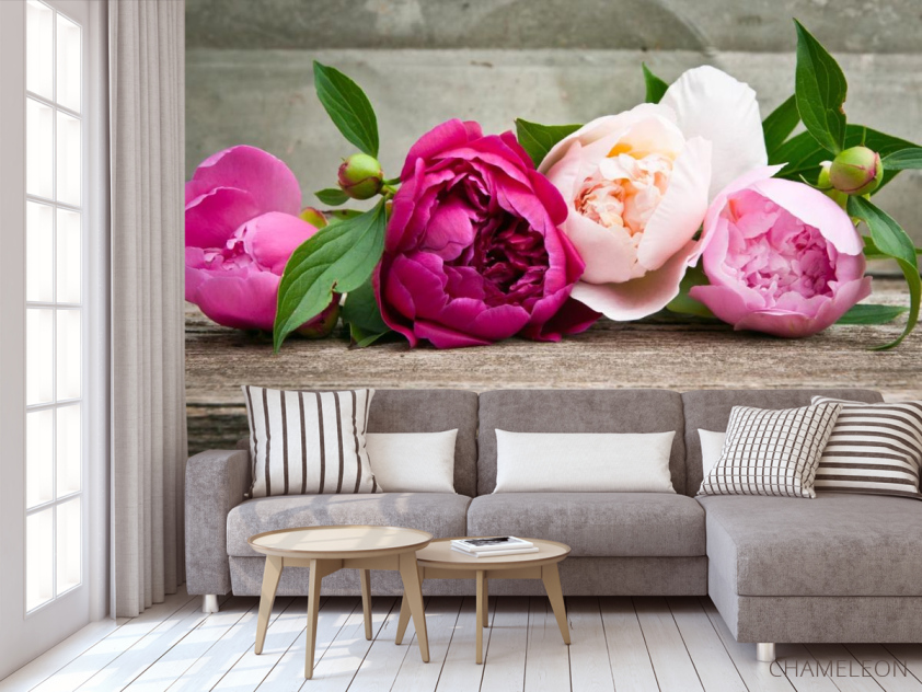 Фотообои розовые пионы - 3