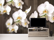 Фотообои Белые орхидеи на дереве - 2