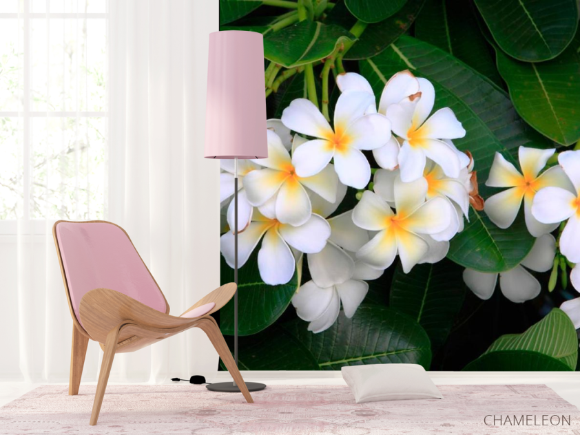 Фотошпалери Маленькі біленькі квіти - 4