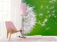 Фотошпалери Кульбаба летить - 4