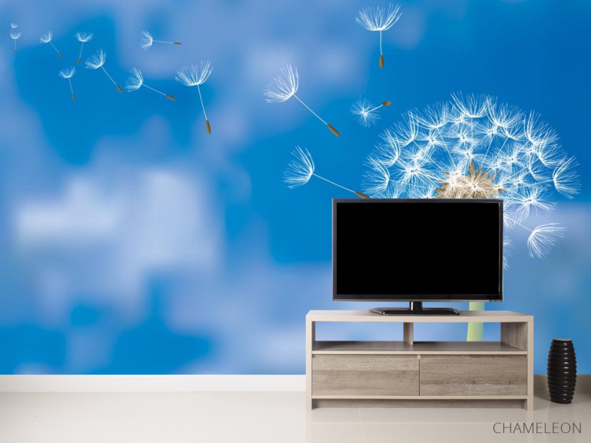 Фотообои Одуванчик на синем фоне - 2