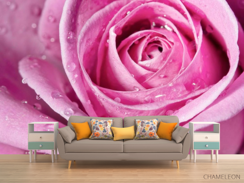 Фотообои Роса на розе - 1