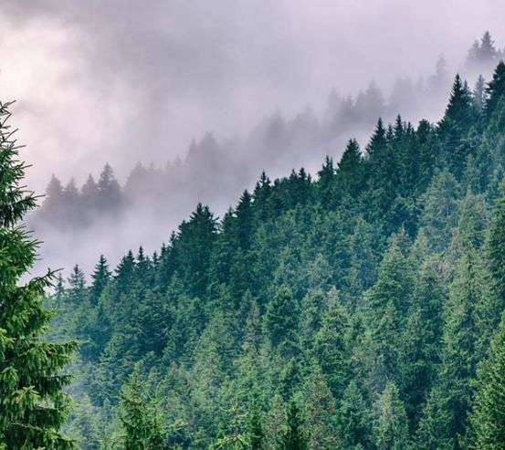 Фотошпалери Туманні гори Фотошпалери Туманні гори 32467