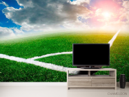 Фотообои Перед пробитием углового - 2