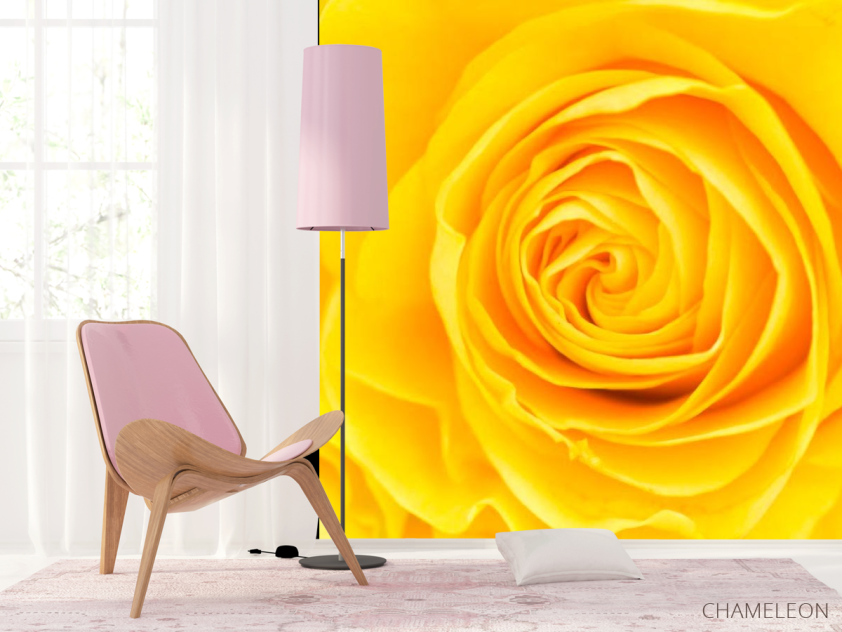 Фотошпалери Жовта троянда крупним планом - 4