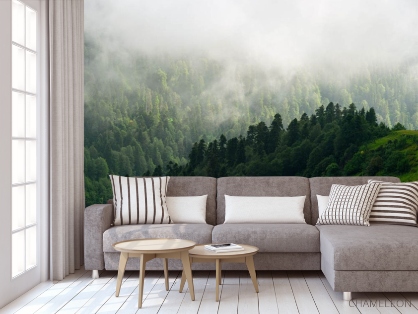 Фотообои Вид на туманый лес - 3