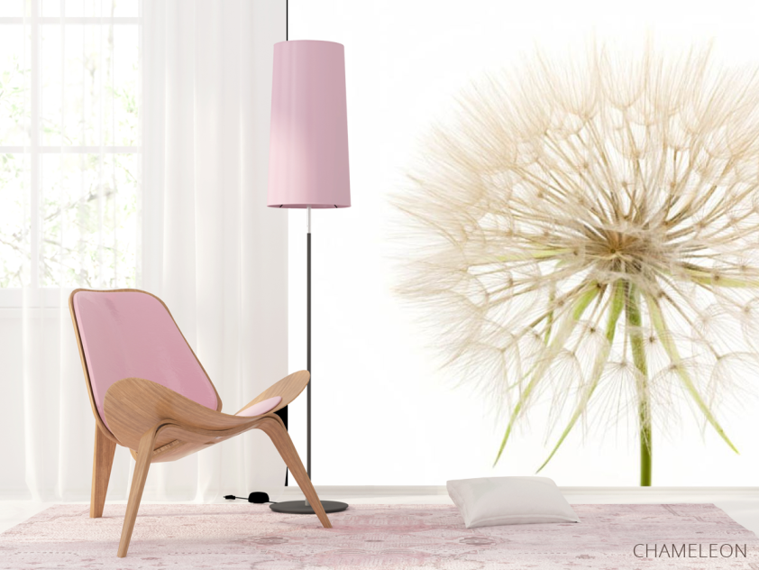 Фотошпалери кульбаба - 4