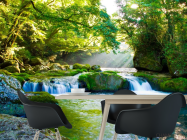 Фотошпалери Дивний куточок лісу - 1