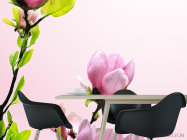 Фотошпалери гілка з рожевими квіточками - 1