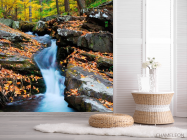 Фотошпалери Струмок біжить - 2