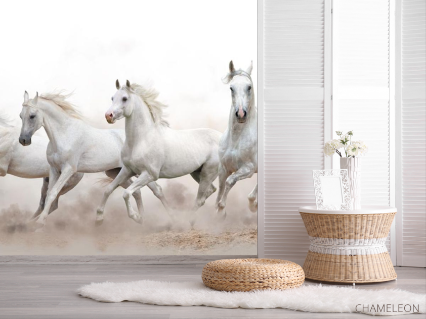 Фотошпалери чотири білі коні - 2