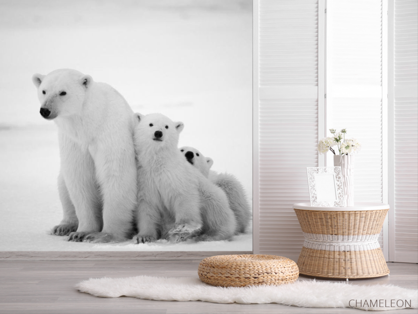Фотошпалери Полярні ведмеді - 2